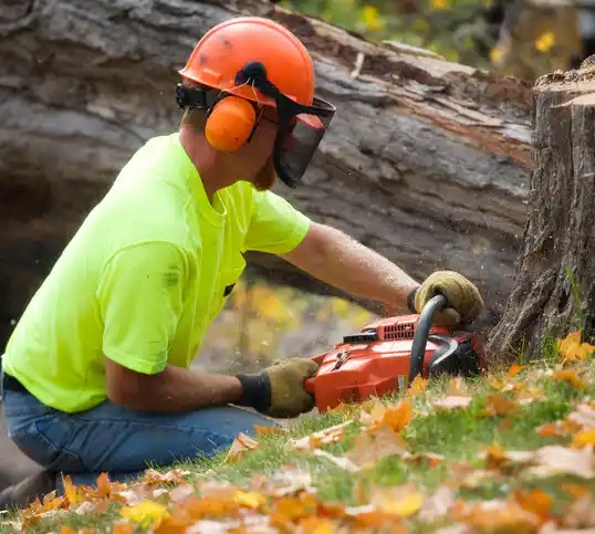 tree services Cumberland Center